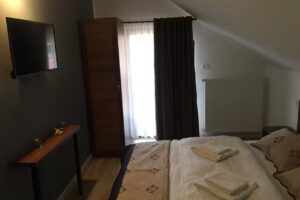 Pensiunea Joreanu Borșa