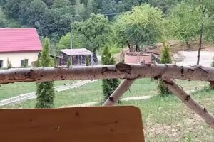 Pensiunea La Coboc Jr