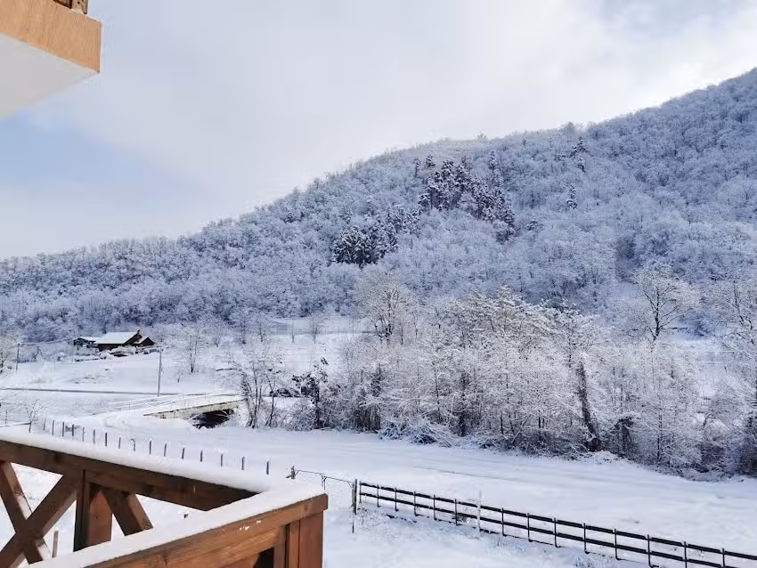 Pensiunea La Nenea Iancu