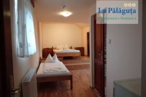 Pensiunea La Palaguta