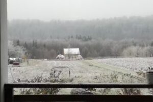 Pensiunea La Poarta Bucovinei