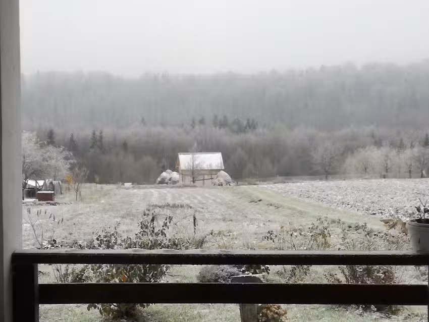 Pensiunea La Poarta Bucovinei