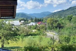 Pensiunea „La Radacini”