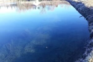 Pensiunea La Rascruce