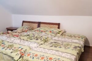 Pensiunea Lacrima Izei