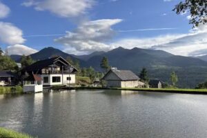 Pensiunea Lacul Arșiței