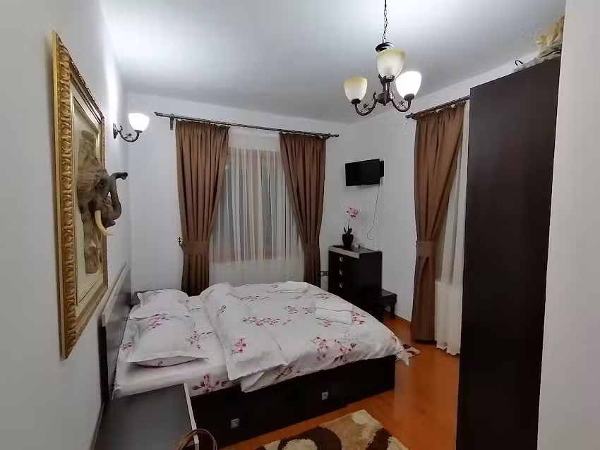 Pensiunea Lavinia Daniel