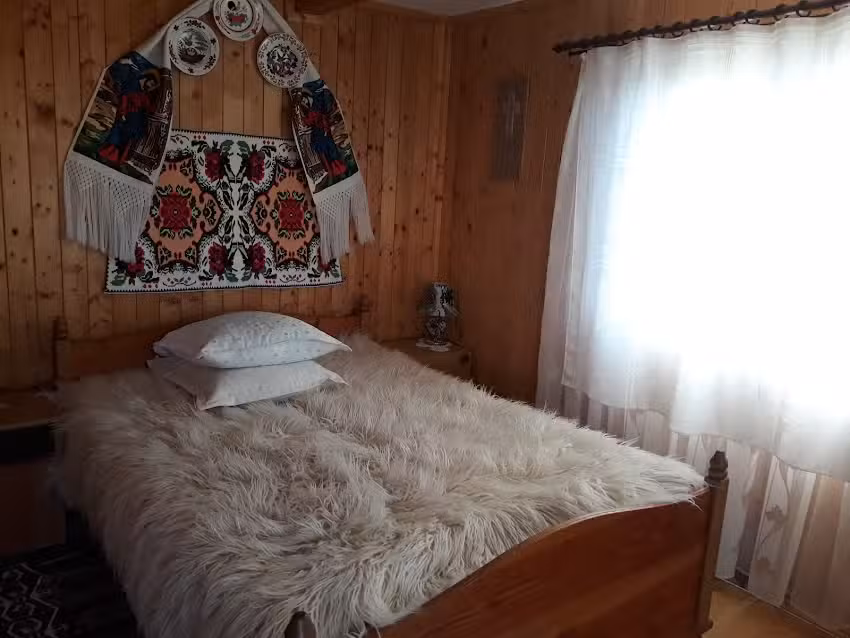 Pensiunea Lia