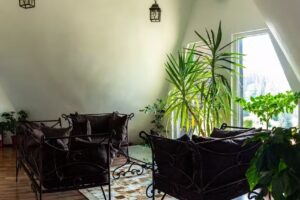 Pensiunea LIN Cota 1000