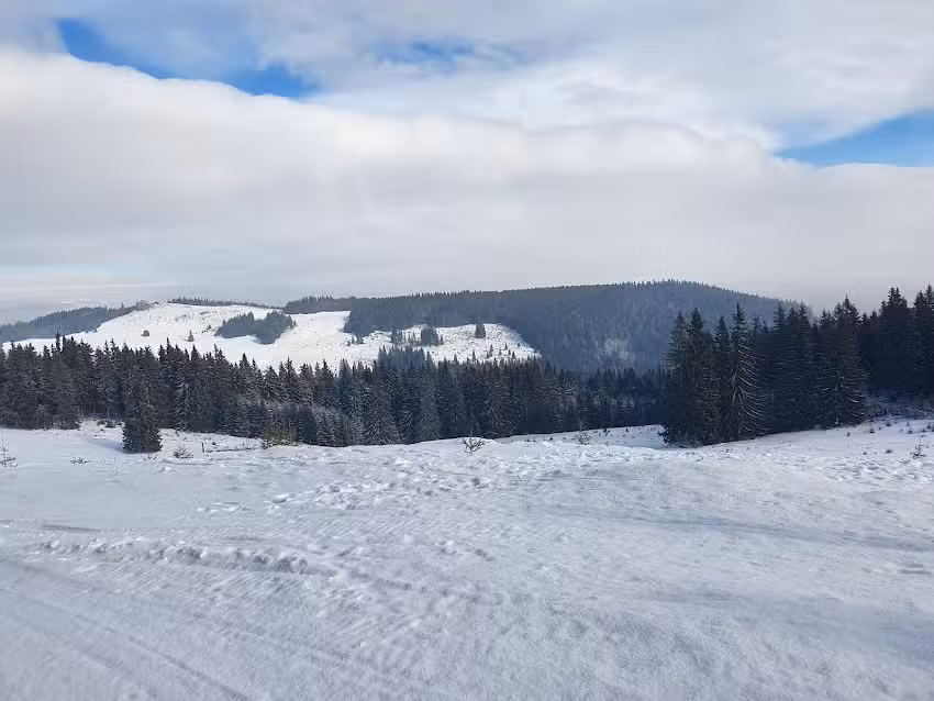 Pensiunea Lina Panzió