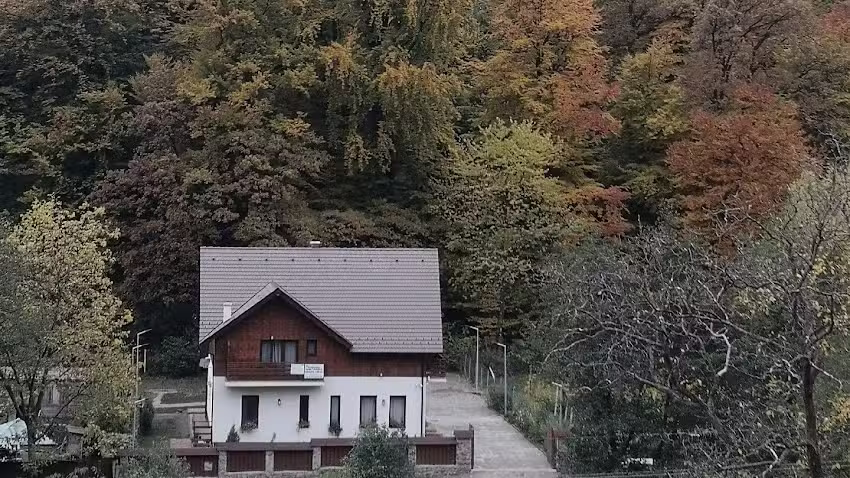 Pensiunea Livada Amely