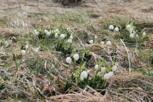 Pensiunea Lu’ Muja