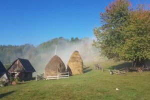 Pensiunea lui Mariana și Filip