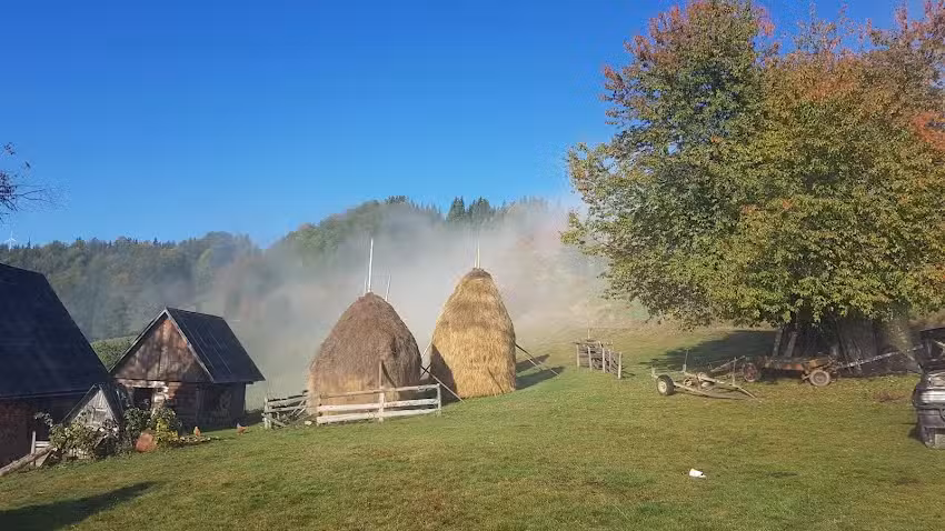 Pensiunea lui Mariana și Filip