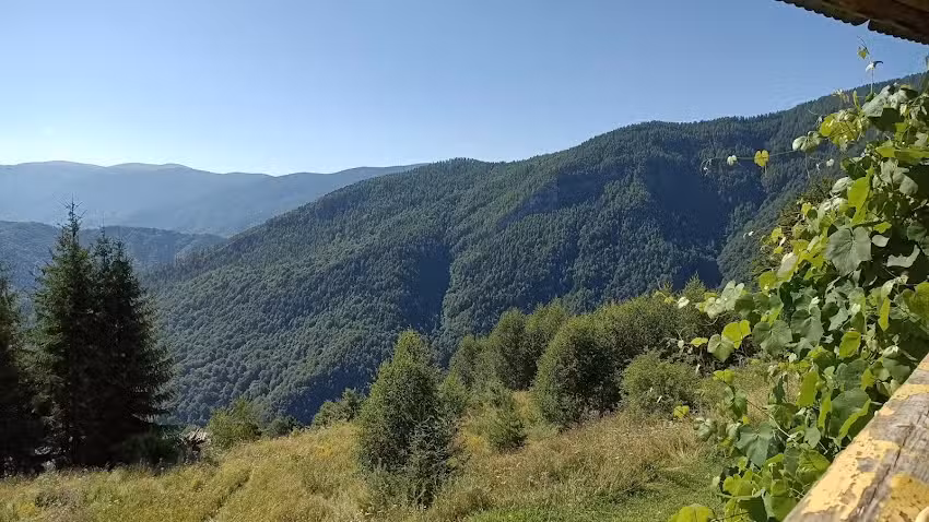 Pensiunea Luminita harta satelit