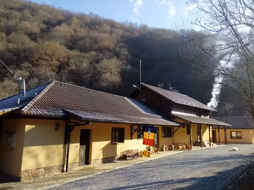 Pensiunea Lupul Dacic, Costesti, Hunedoara