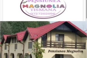Pensiunea Magnolia din Tismana