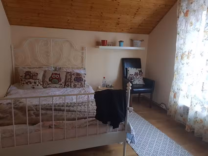 Pensiunea Maia Dambovicioara