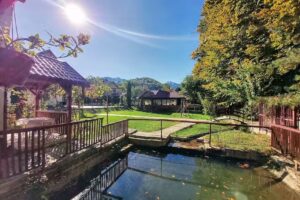 Pensiunea Maria Complex Turistic Sambata de Sus