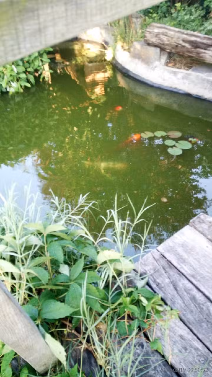 Pensiunea Maria Sibiu