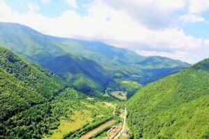 Pensiunea Masa verde