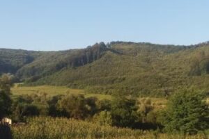 Pensiunea Matyas Kiraly