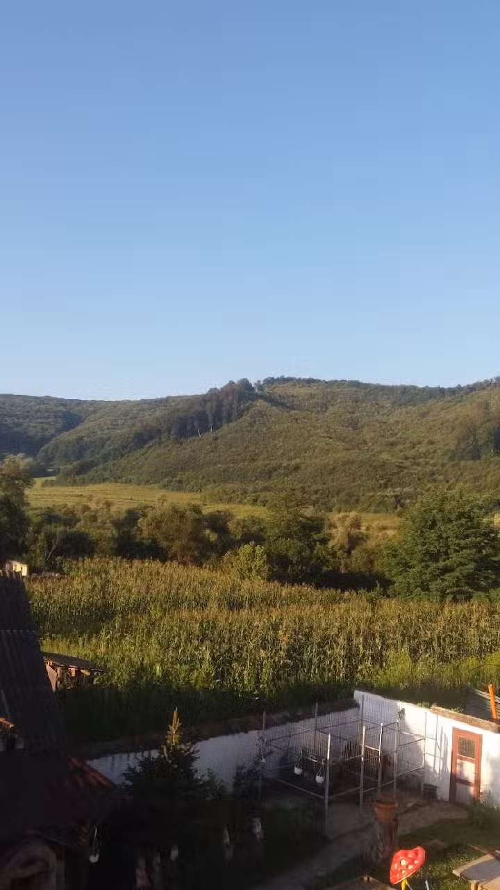 Pensiunea Matyas Kiraly