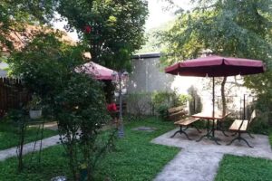 Pensiunea Micșunica