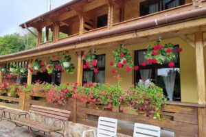 PENSIUNEA MIHAIU SASULUI