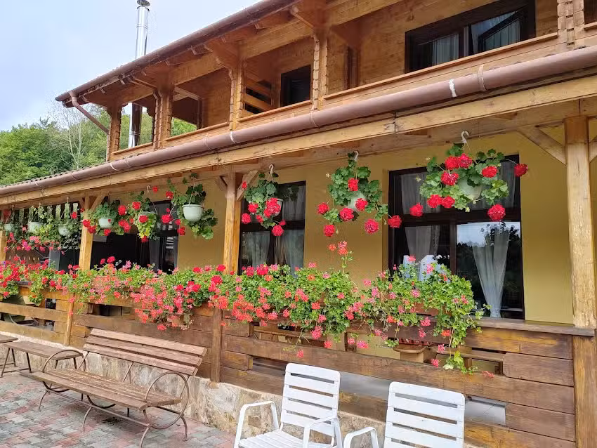 PENSIUNEA MIHAIU SASULUI