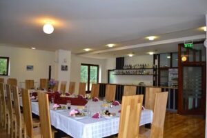 Pensiunea Mountain-Rest Panzio