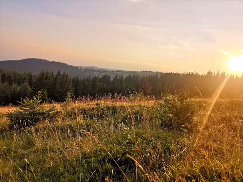 pensiunea Muntele Alb