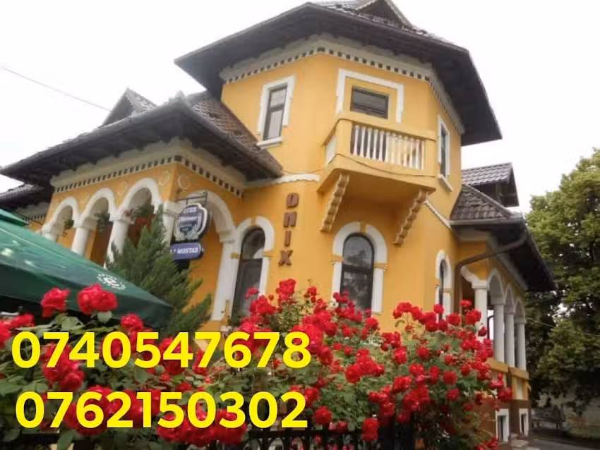 Pensiunea Onix Făgăraș