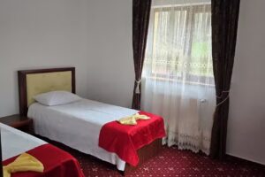 Pensiunea Orizont Rucar