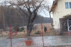 Pensiunea Padurea Verde