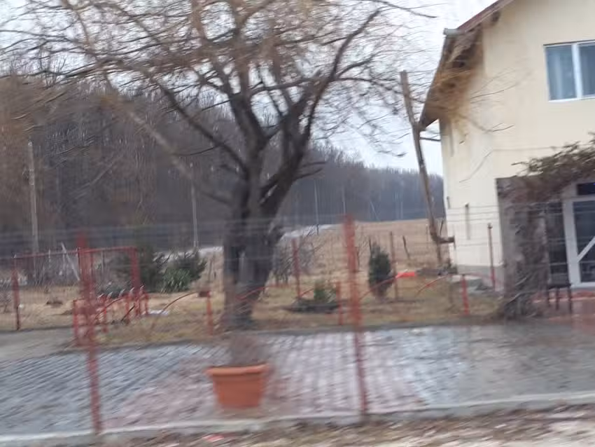 Pensiunea Padurea Verde