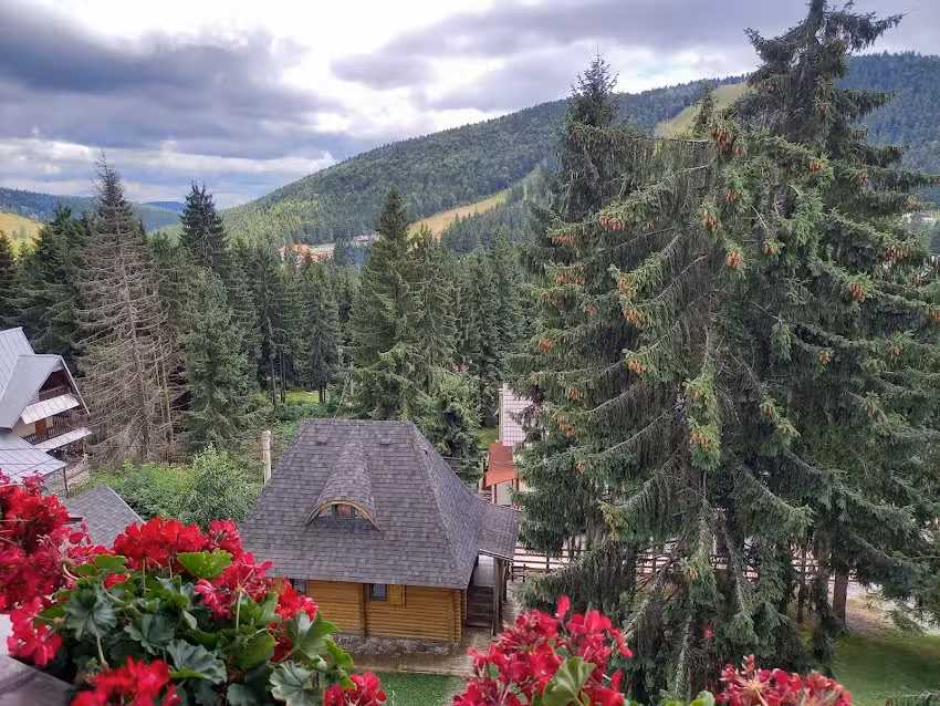 Pensiunea Panoramic
