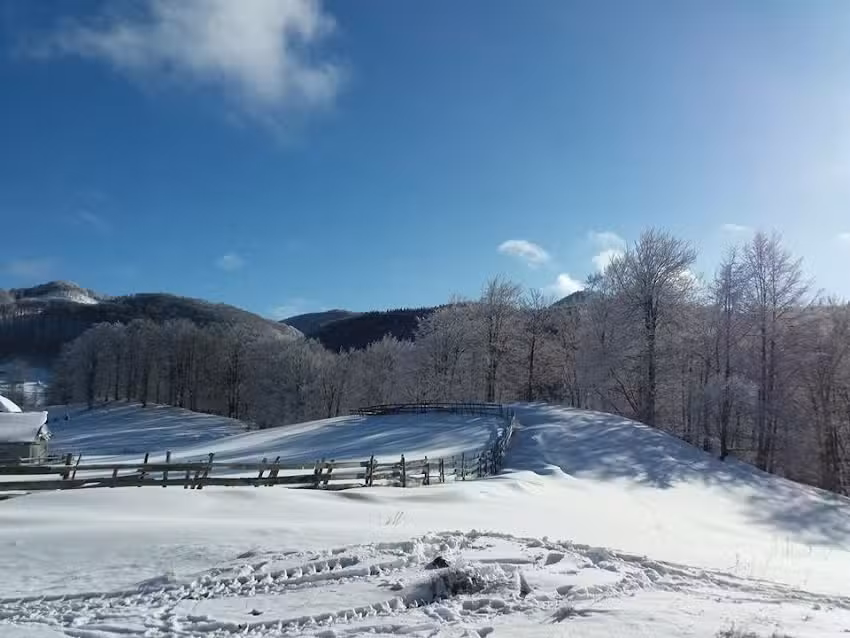 Pensiunea Pappacabana