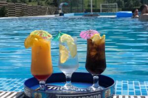 Pensiunea Perla Țibleșului