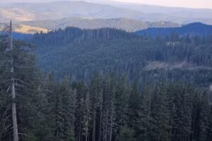 Pensiunea Perla Vlădesei