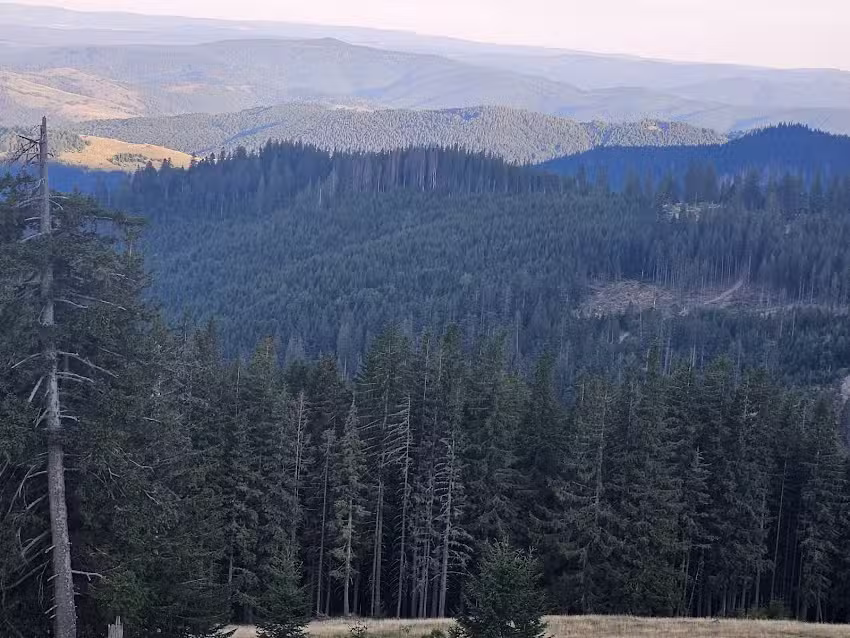 Pensiunea Perla Vlădesei