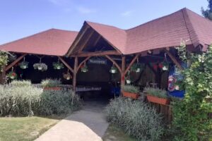 Pensiunea Piscu Ioanei