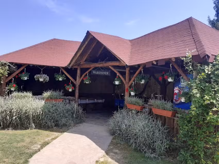 Pensiunea Piscu Ioanei