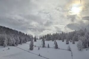 Pensiunea Poarta lui Ionele