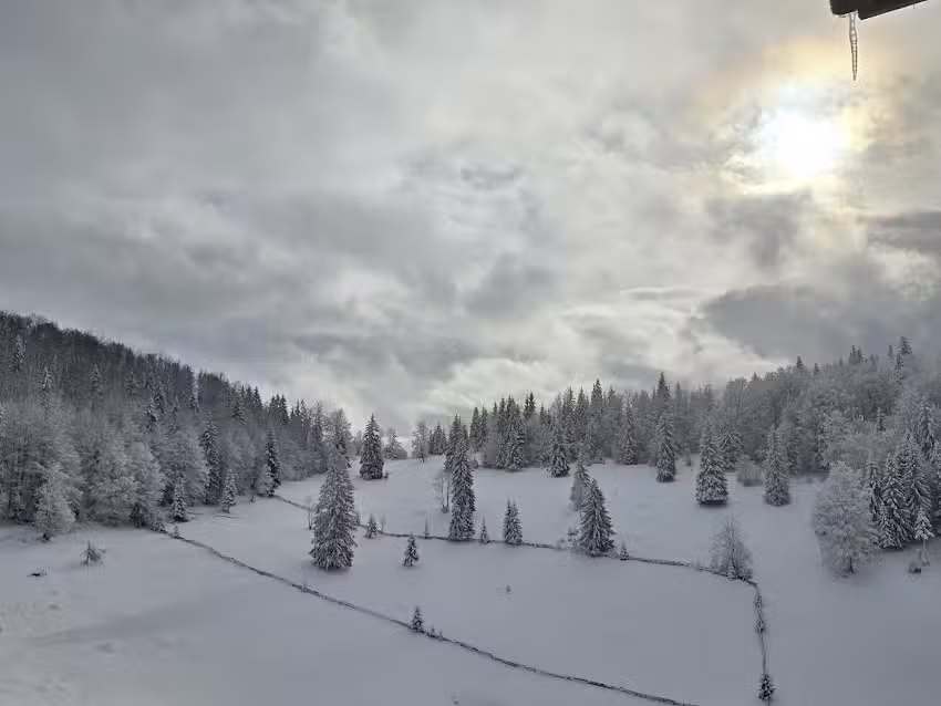 Pensiunea Poarta lui Ionele