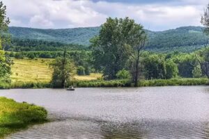 Pensiunea Popasul Codrenilor