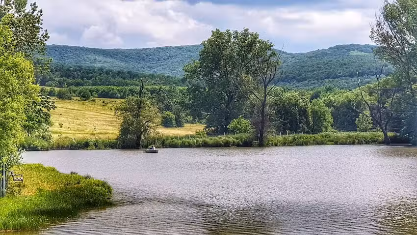 Pensiunea Popasul Codrenilor