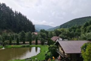 Pensiunea Rau Sadului Restaurant