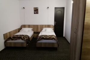 PENSIUNEA RAXAND CAZARE MIOVENI