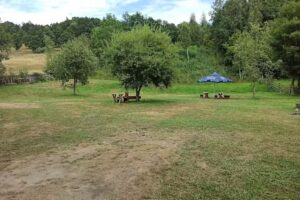 Pensiunea Raza Soarelui